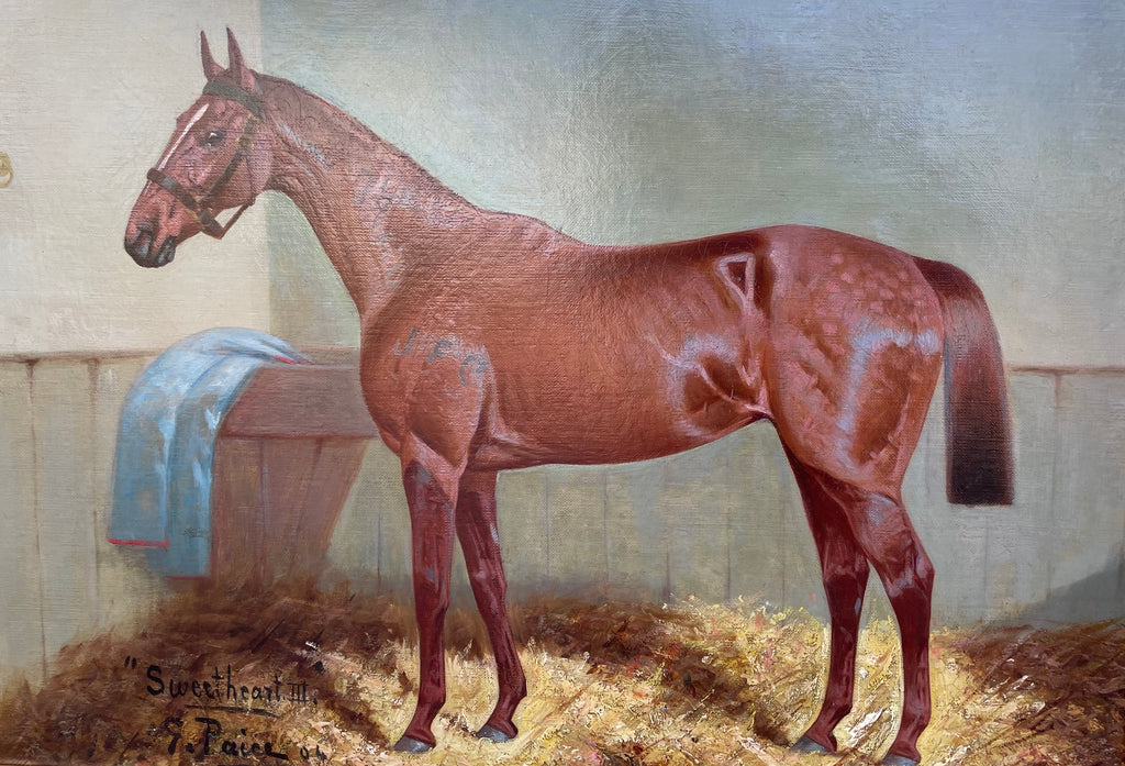 Oil painting portrait of a Racehorse by George Paice (1854-1925)