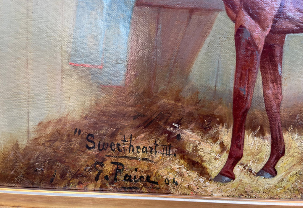 Oil painting portrait of a Racehorse by George Paice (1854-1925)