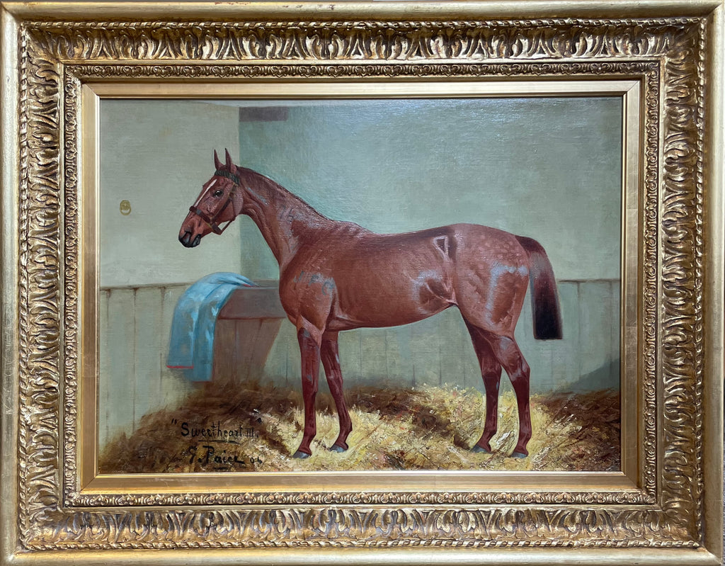 Oil painting portrait of a Racehorse by George Paice (1854-1925)