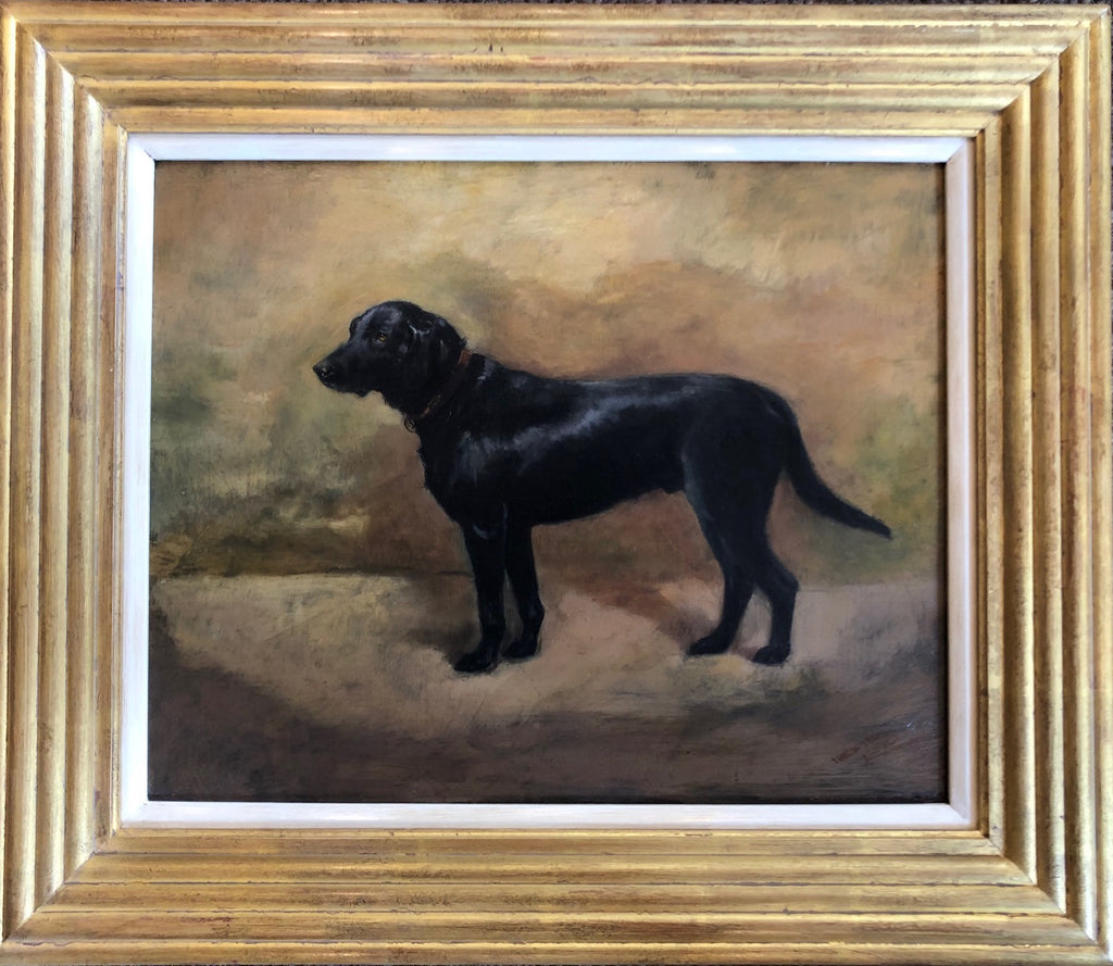 Oil Painting on panel 'Black Labrador' by Ivester Lloyd.